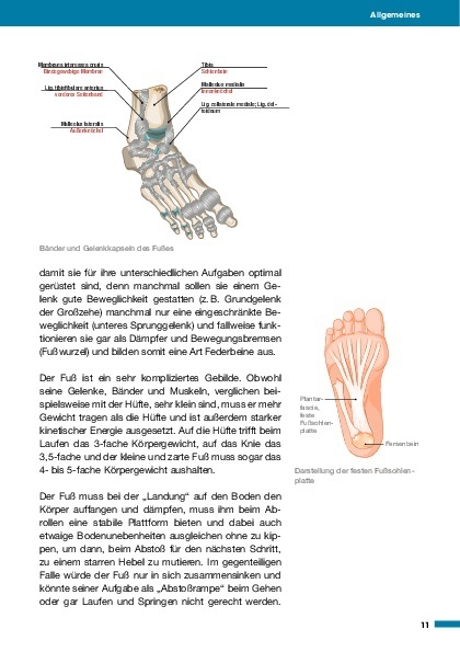 Bild: 9783966641999 | Medizin in Fakten: Gesunder Fuß | Michael Vitek | Taschenbuch | 128 S.