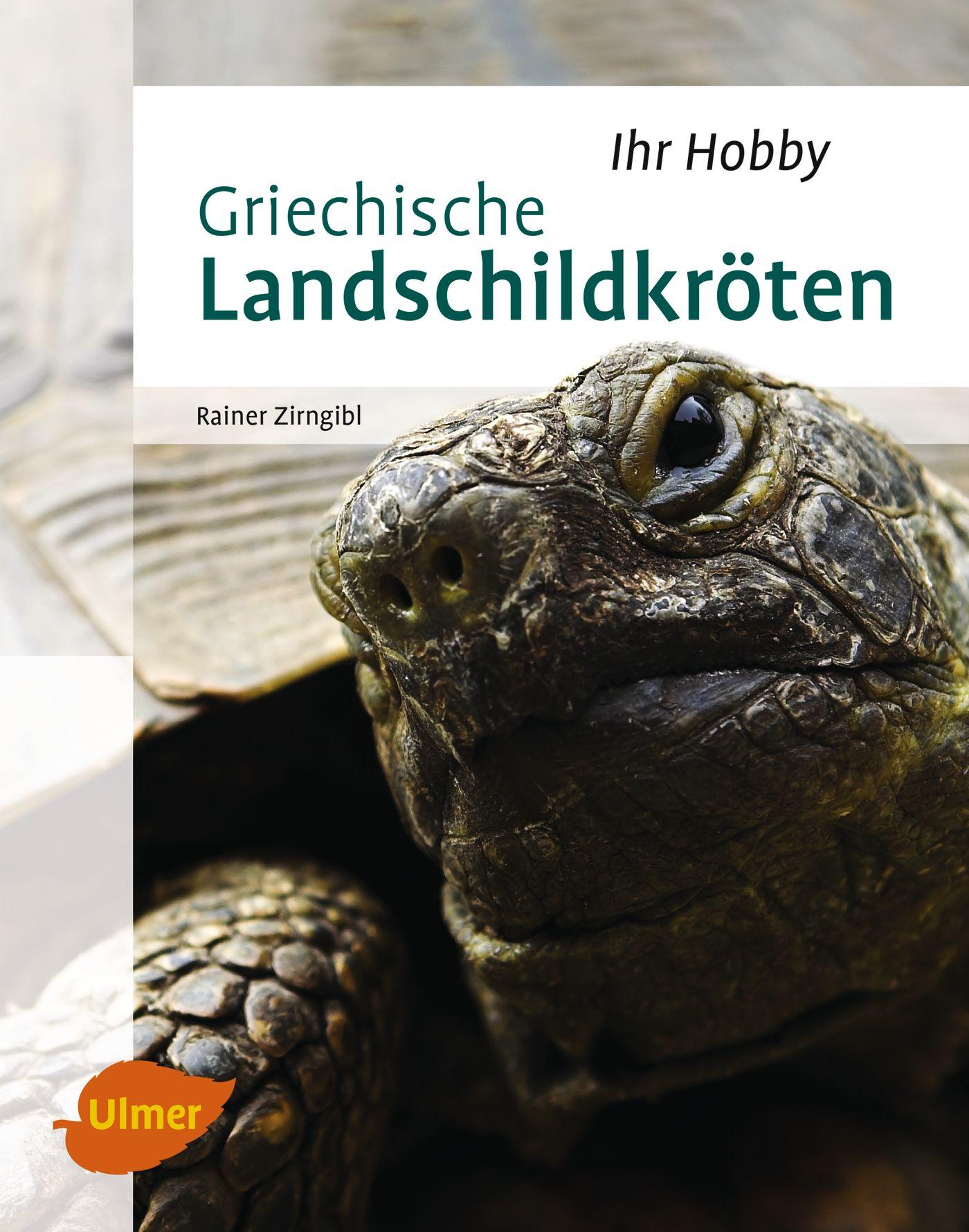 Cover: 9783800103287 | Griechische Landschildkröten | Rainer Zirngibl | Buch | 96 S. | 2015