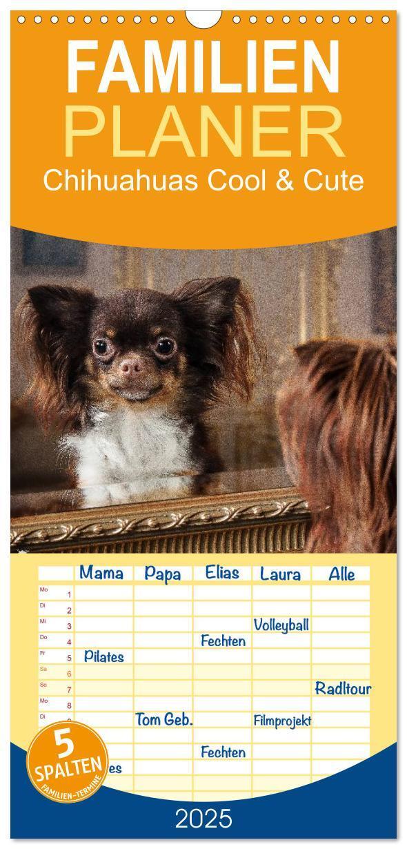 Cover: 9783457111291 | Familienplaner 2025 - Chihuahuas - Cool and Cute mit 5 Spalten...