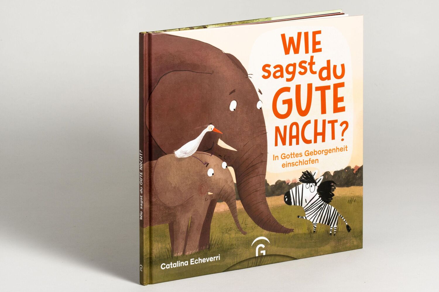 Bild: 9783579071909 | Wie sagst du Gute Nacht? | Catalina Echeverri | Buch | 32 S. | Deutsch