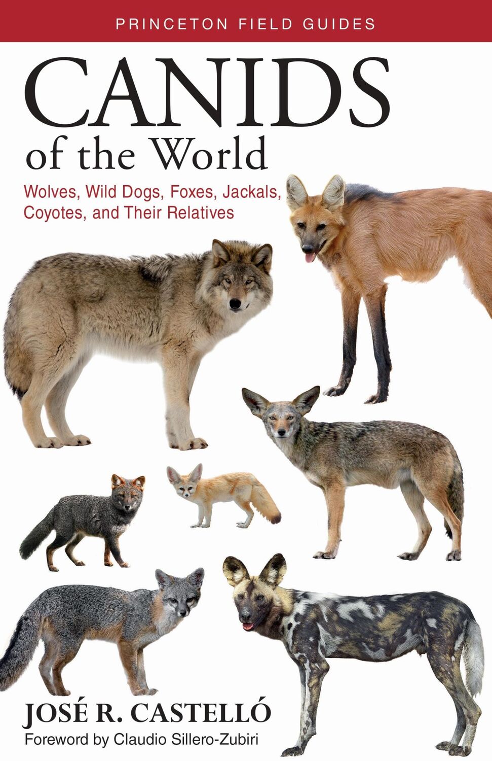 Cover: 9780691176857 | Canids of the World | Jose R. Castello | Taschenbuch | Englisch | 2018