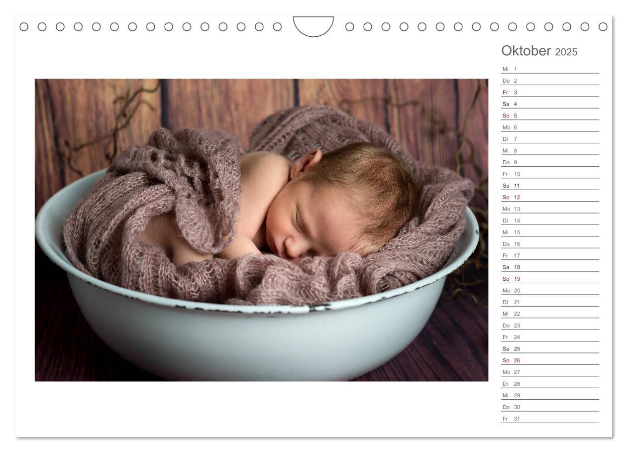 Bild: 9783435438419 | Aller Anfang ist klein - Babykalender mit Noah (Wandkalender 2025...