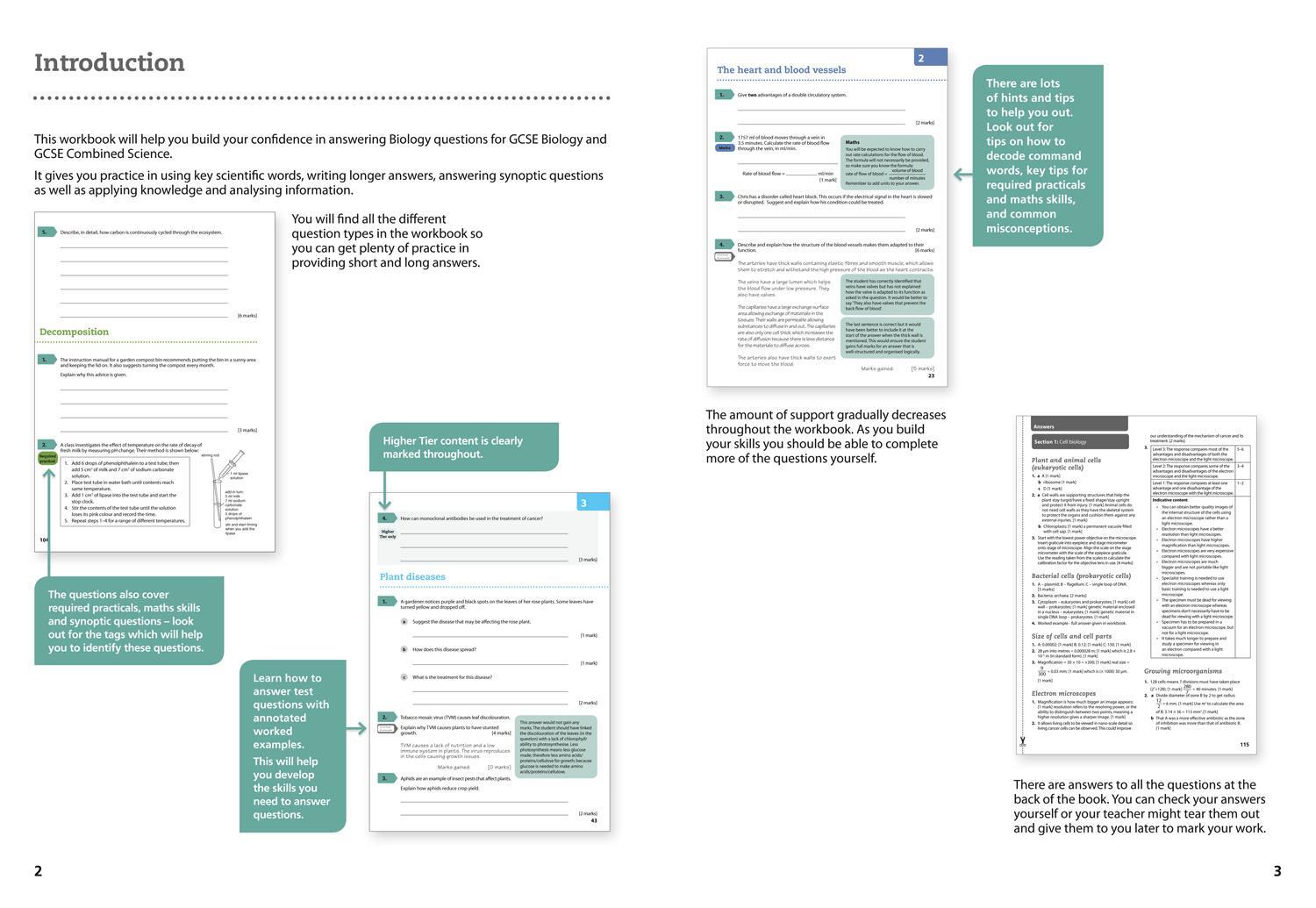 Bild: 9780008194338 | Aqa GCSE Biology 9-1 Grade 8/9 Booster Workbook | Collins Uk | Buch