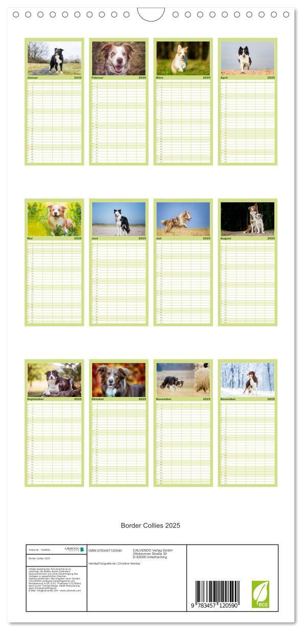 Bild: 9783457120590 | Familienplaner 2025 - Border Collies 2025 mit 5 Spalten...