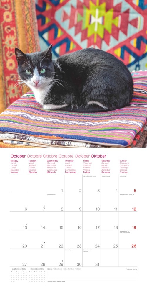 Bild: 4002725987945 | N NEUMANNVERLAGE - Cats Around the World 2025 Broschürenkalender,...