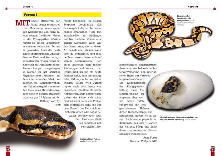 Bild: 9783866591189 | Königspython | Python regius | René Bonke | Taschenbuch | Art für Art