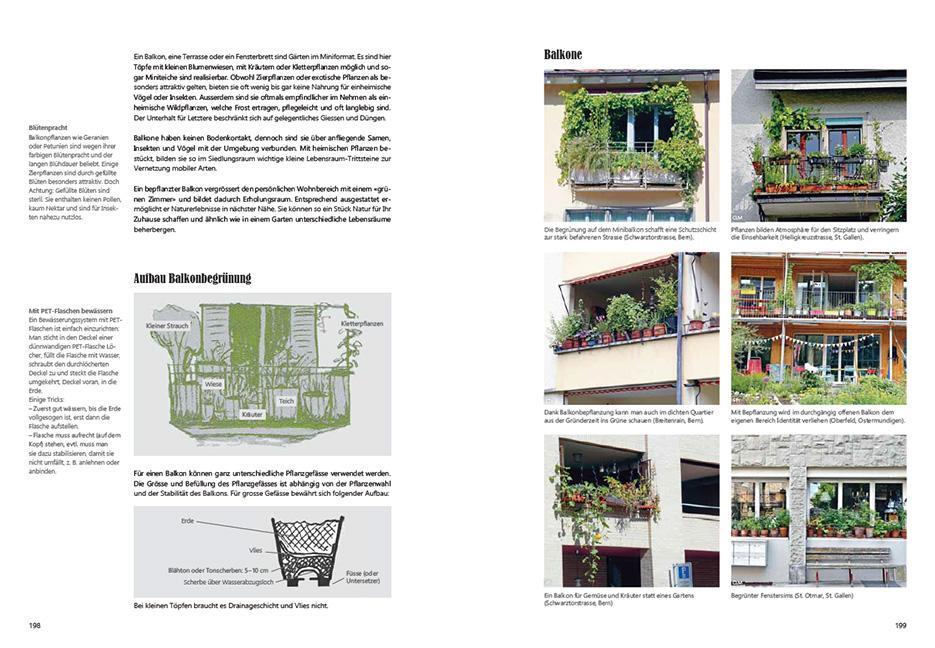 Bild: 9783258083285 | Praxishandbuch Stadtnatur | Sabine Tschäppeler (u. a.) | Taschenbuch