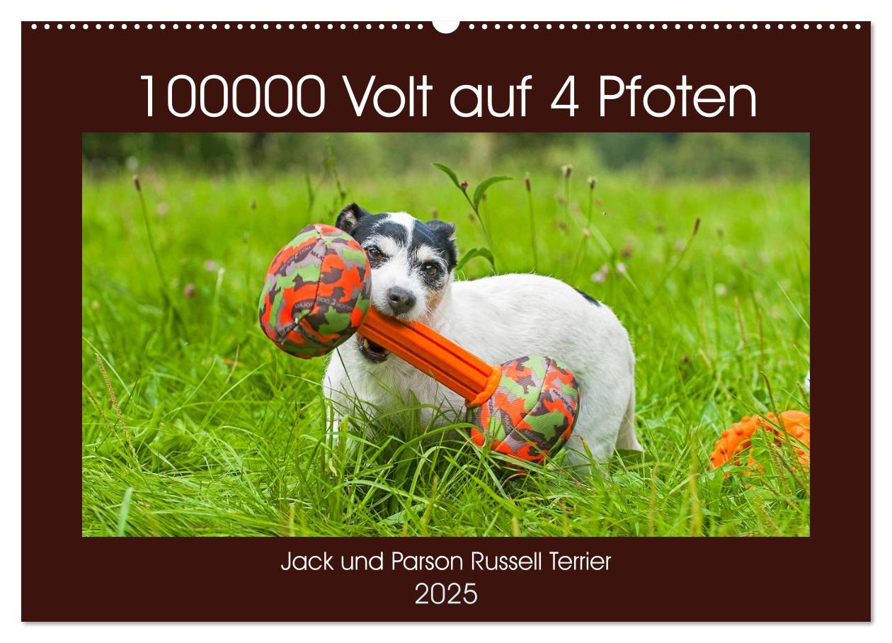 Cover: 9783435250028 | 100000 Volt auf vier Pfoten - Jack und Parson Russell Terrier...