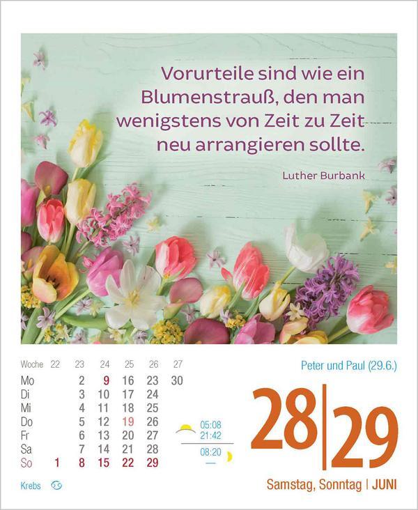 Bild: 9783731877356 | Lebensweisheiten 2025 | Verlag Korsch | Kalender | 328 S. | Deutsch