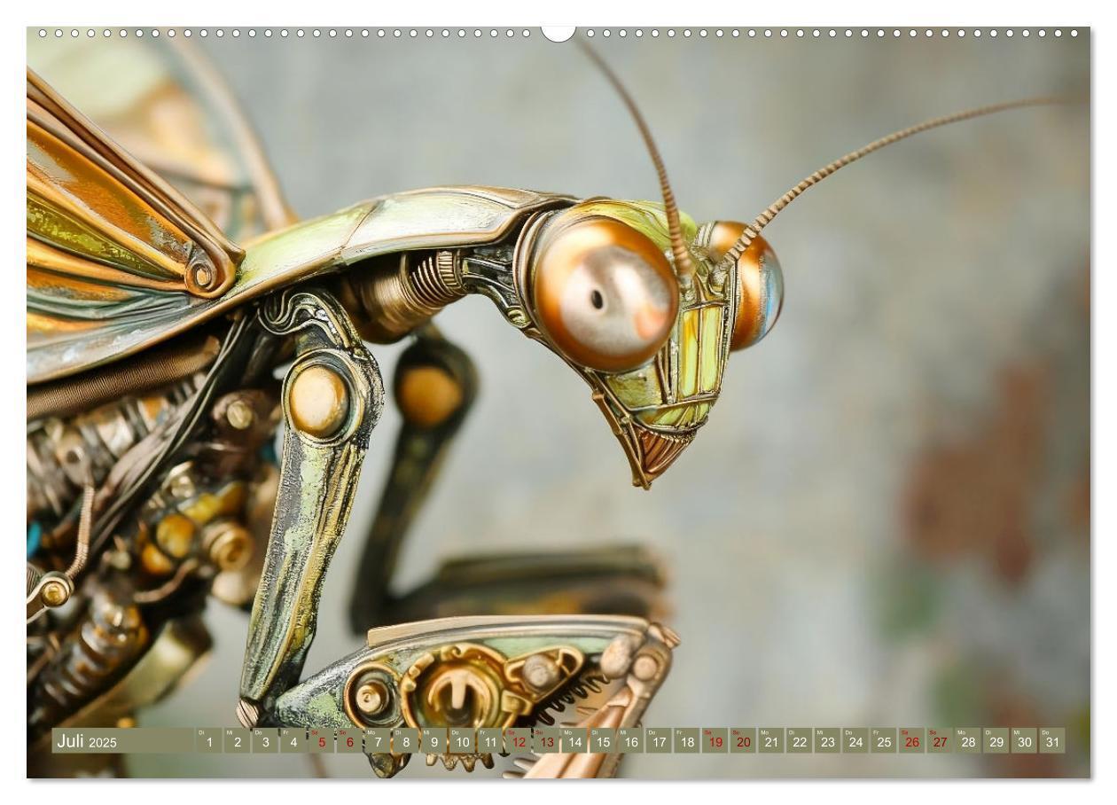 Bild: 9783457185797 | Die fantastische Welt der Steampunk-Insekten (Wandkalender 2025 DIN...