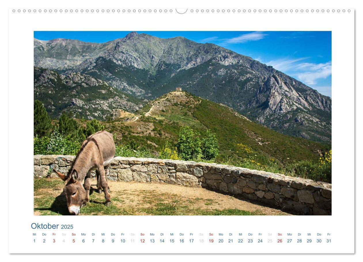 Bild: 9783435796786 | Korsika 2025 (Wandkalender 2025 DIN A2 quer), CALVENDO Monatskalender