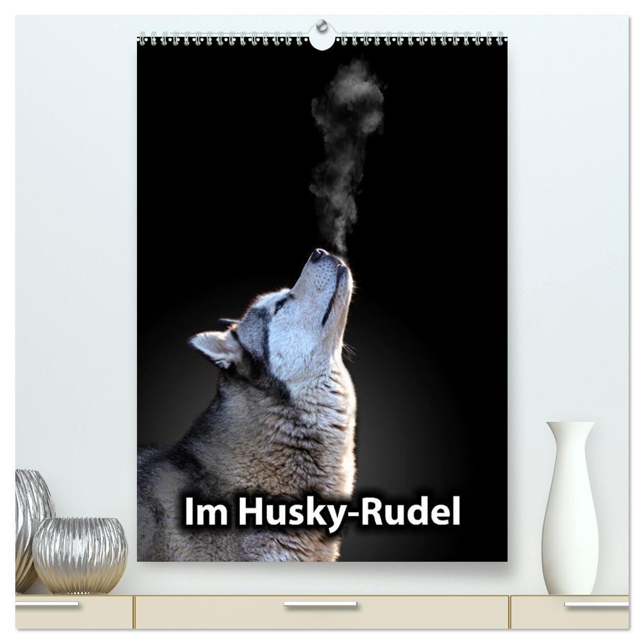 Cover: 9783435909001 | Im Husky-Rudel (hochwertiger Premium Wandkalender 2025 DIN A2...