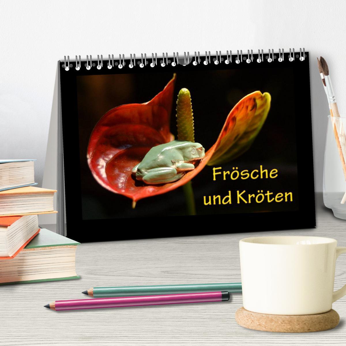 Bild: 9783435748532 | Frösche und Kröten (Tischkalender 2025 DIN A5 quer), CALVENDO...