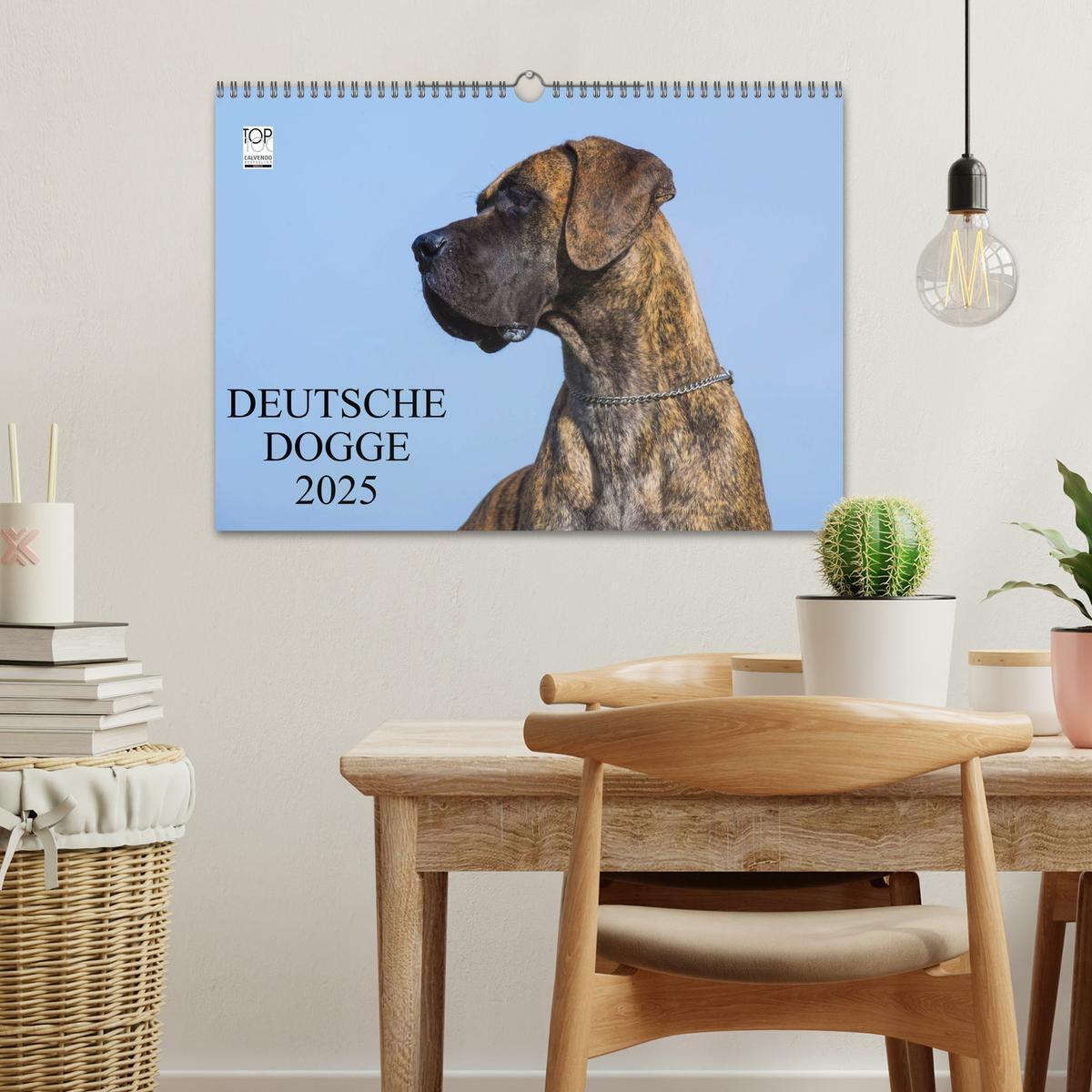 Bild: 9783435761890 | Deutsche Dogge 2025 (Wandkalender 2025 DIN A3 quer), CALVENDO...