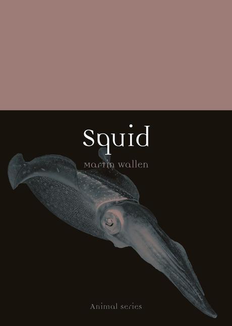 Cover: 9781789143348 | Squid | Martin Wallen | Taschenbuch | Animal | Englisch | 2021