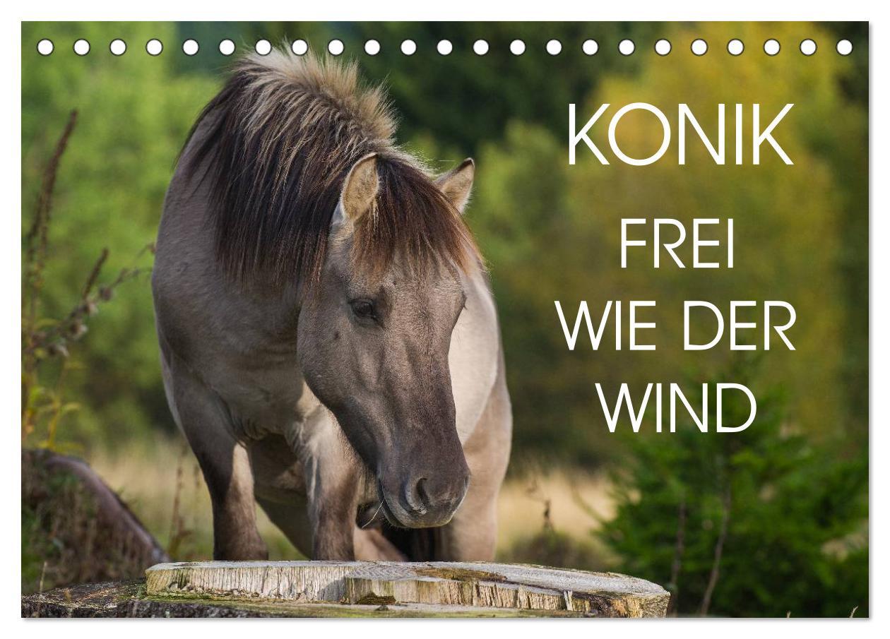 Cover: 9783435572434 | Konik - Frei geboren (Tischkalender 2025 DIN A5 quer), CALVENDO...