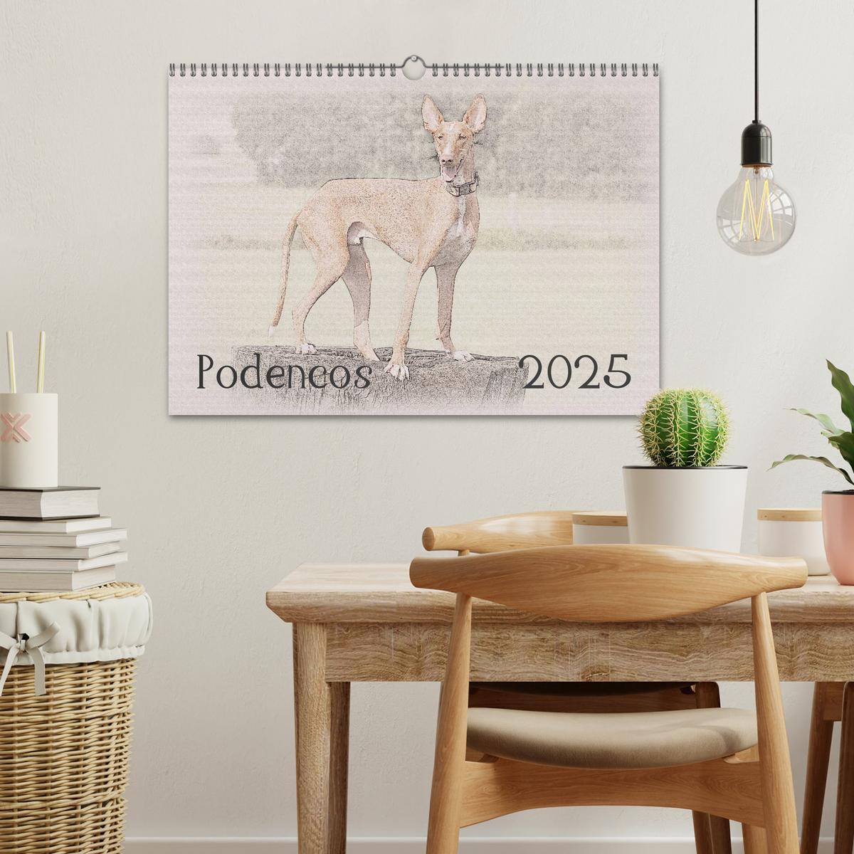 Bild: 9783435687138 | Podencos 2025 (Wandkalender 2025 DIN A3 quer), CALVENDO Monatskalender