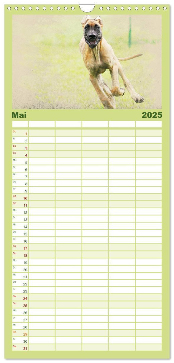 Bild: 9783457121177 | Familienplaner 2025 - Hundewelpen 2025 mit 5 Spalten (Wandkalender,...