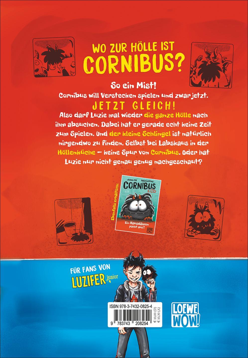 Rückseite: 9783743208254 | Cornibus &amp; Co (Band 2) - Cornibus Verschwindibus | Jochen Till | Buch