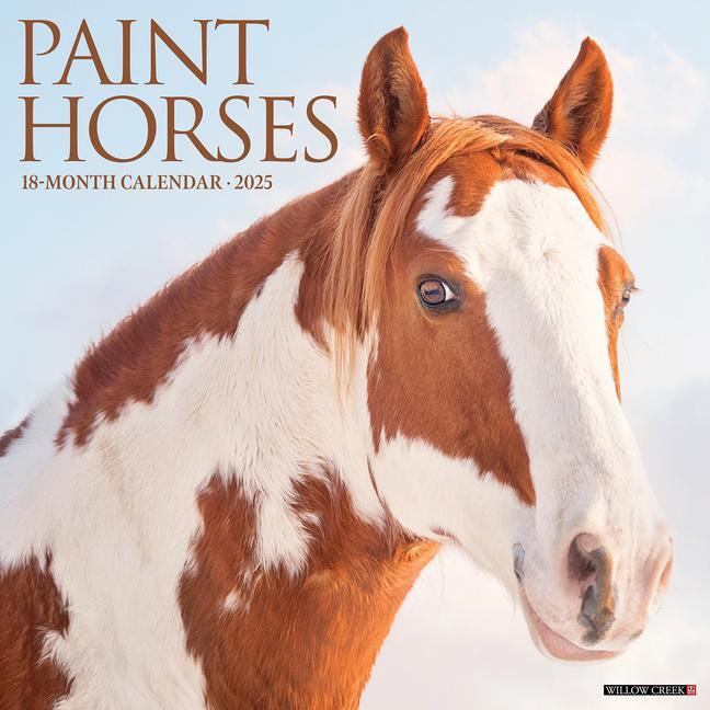 Cover: 9781549244353 | Paint Horses 2025 12 X 12 Wall Calendar | Willow Creek Press | 2025