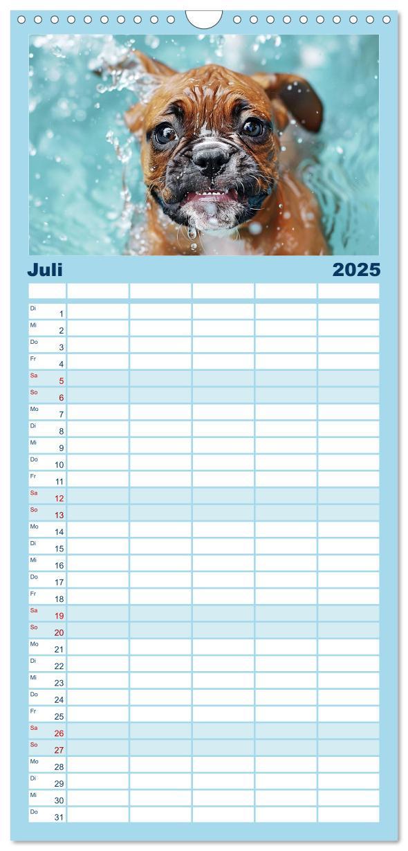 Bild: 9783457195499 | Familienplaner 2025 - Hunde und Wasser mit 5 Spalten (Wandkalender,...