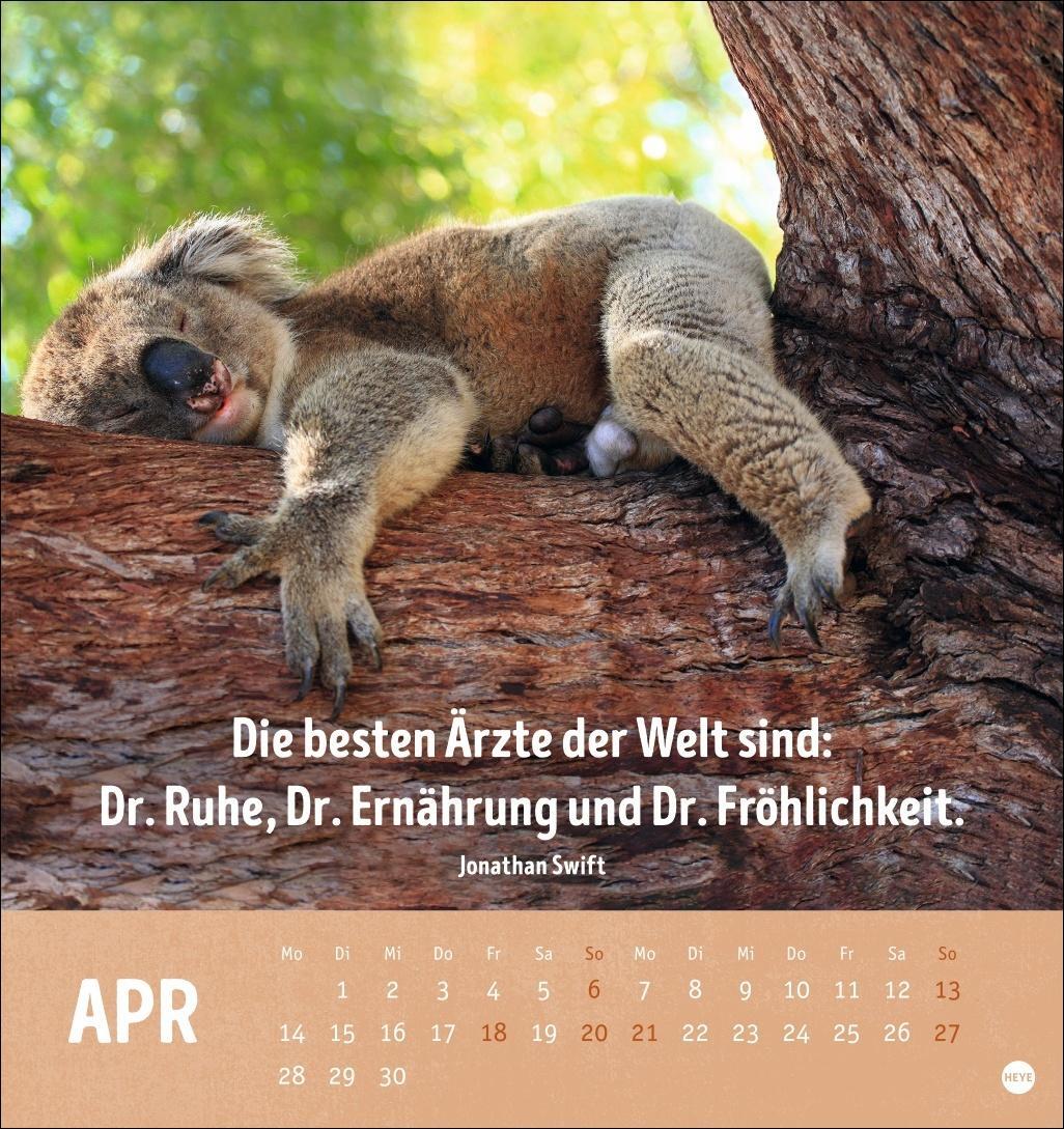 Bild: 9783756407187 | Alt! Aber gut drauf Postkartenkalender 2025 - Der tierische...