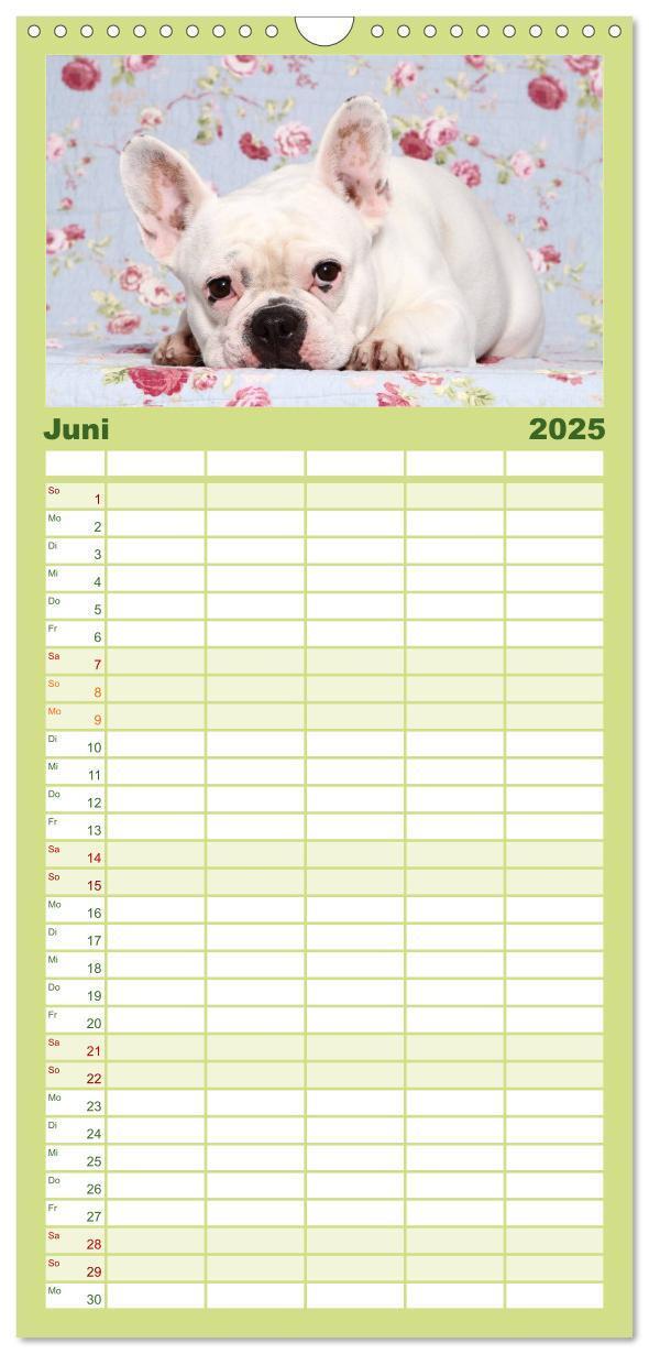 Bild: 9783457111284 | Familienplaner 2025 - Der Bully - Kalender Familienplaner hoch mit...