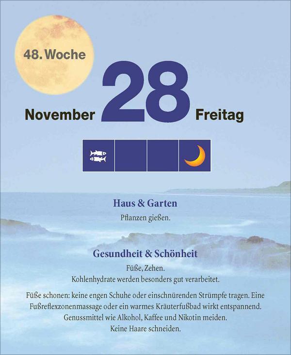 Bild: 9783731877448 | Mond Abreißkalender 2025 | Verlag Korsch | Kalender | 328 S. | Deutsch