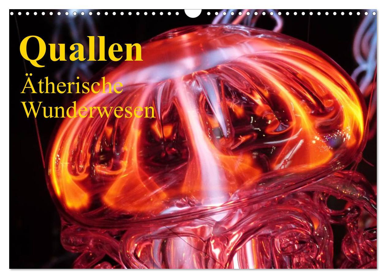 Cover: 9783435744336 | Quallen ¿ Ätherische Wunderwesen (Wandkalender 2025 DIN A3 quer),...