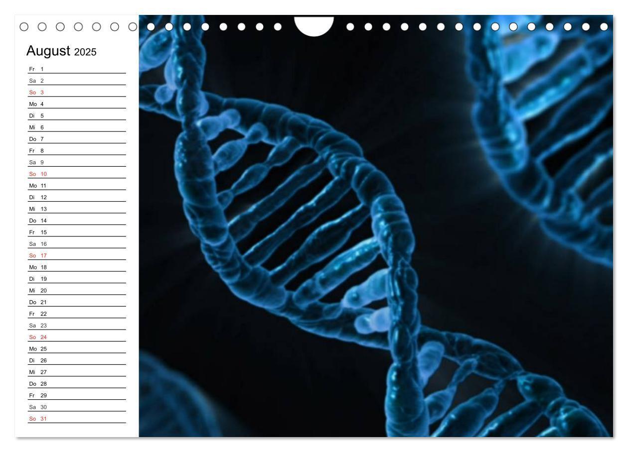 Bild: 9783435483808 | Mikrobiologie. Mikroorganismen, Genetik und Zellen (Wandkalender...