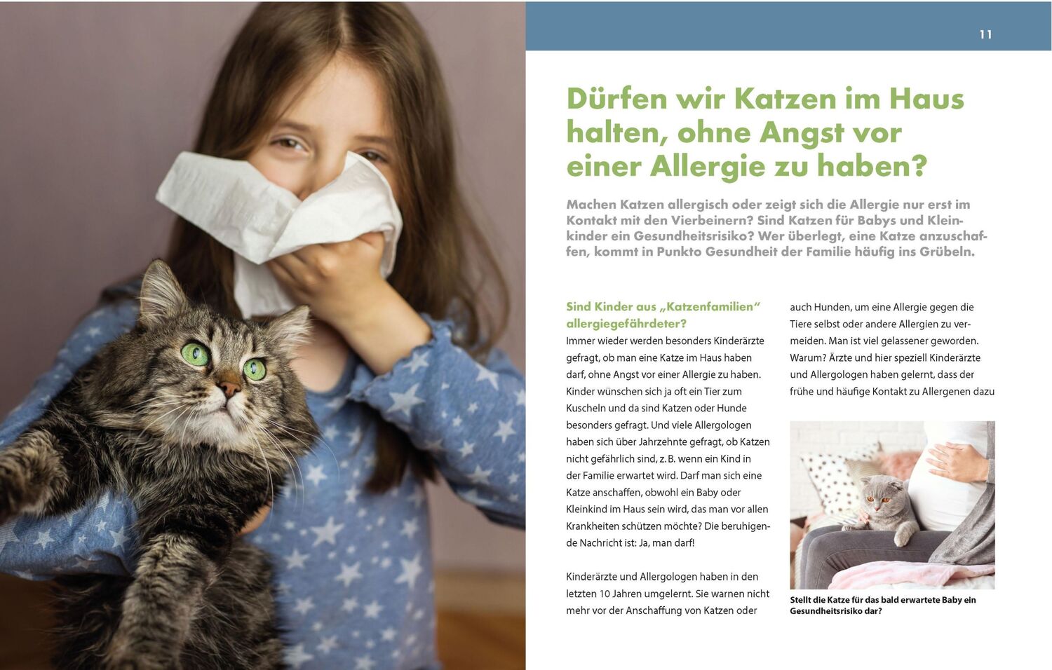 Bild: 9783625192466 | Diagnose Katzenallergie | Karl-Christian Bergmann | Taschenbuch | 2022