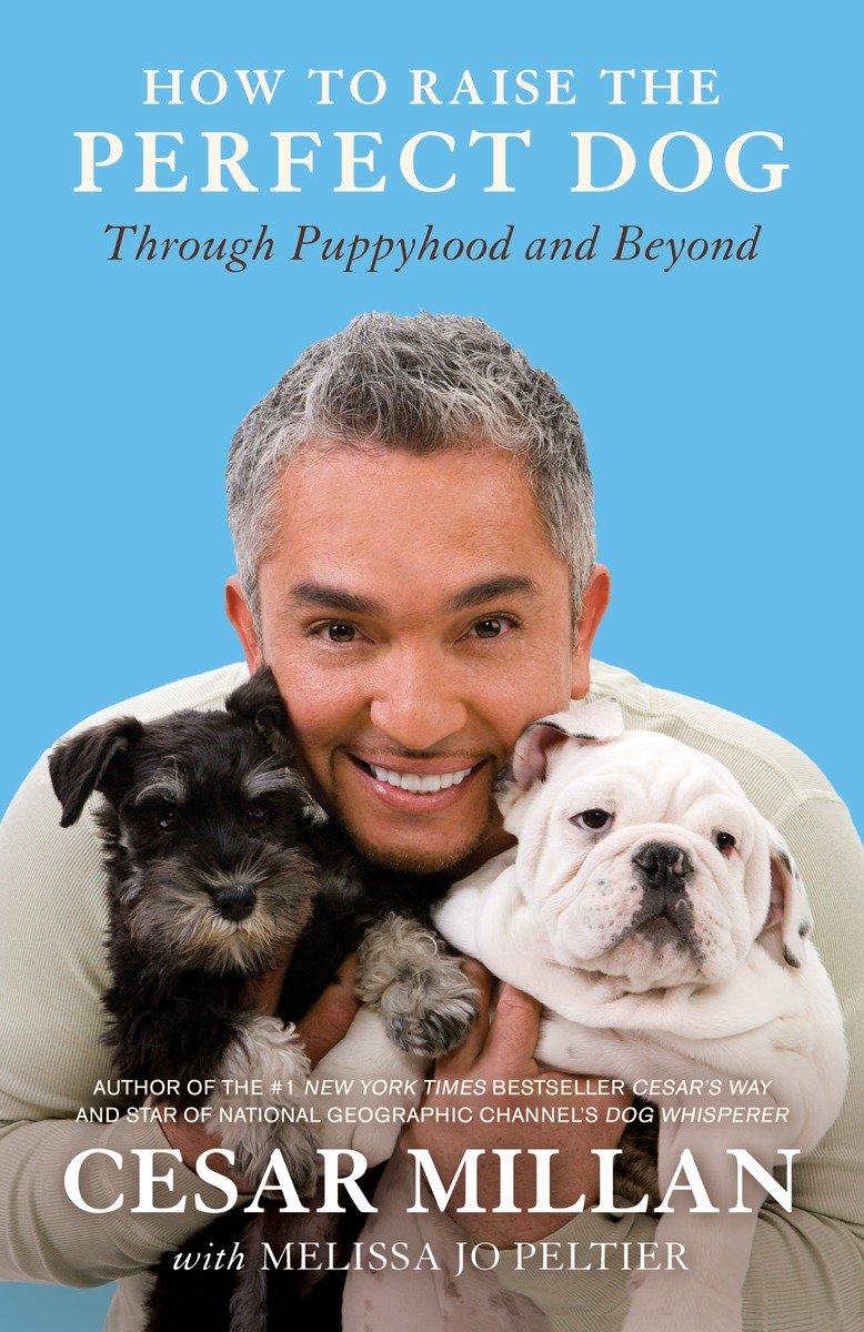 Cover: 9780307461308 | How to Raise the Perfect Dog | Through Puppyhood and Beyond | Buch