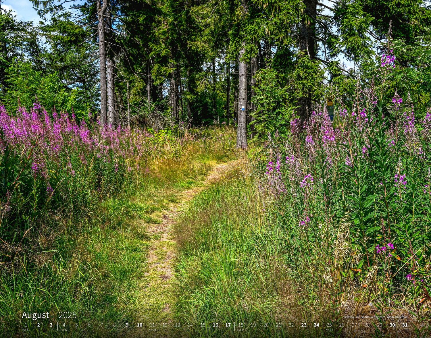 Bild: 9783862923427 | Wandern Hiking 2025 Großformat-Kalender 58 x 45,5 cm | Hiking 2025