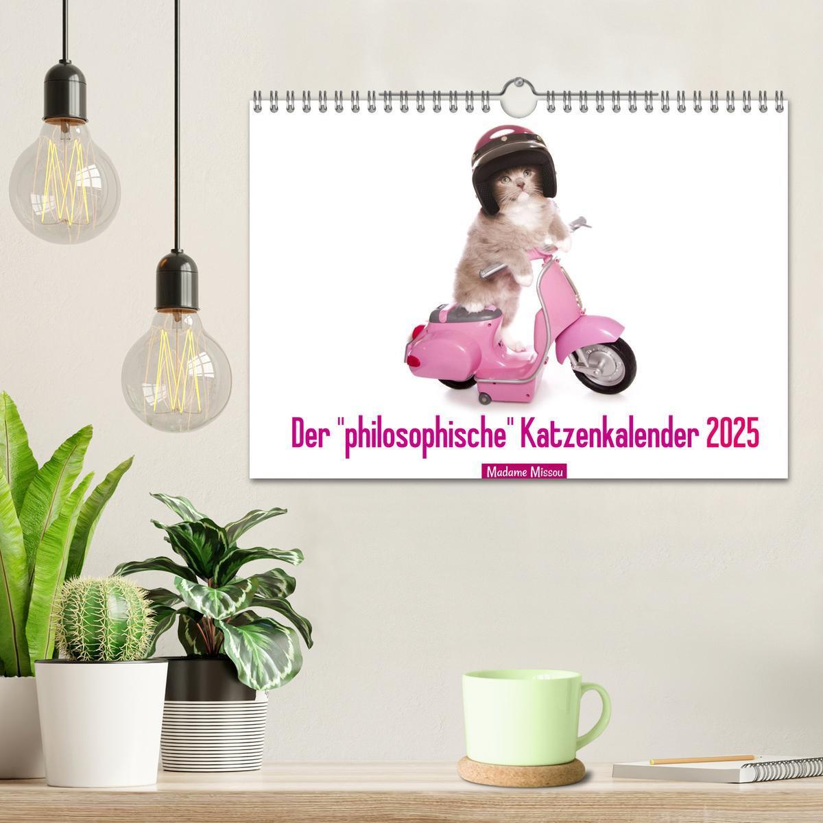 Bild: 9783435620708 | Der "philosophische" Katzenkalender 2025 (Wandkalender 2025 DIN A4...