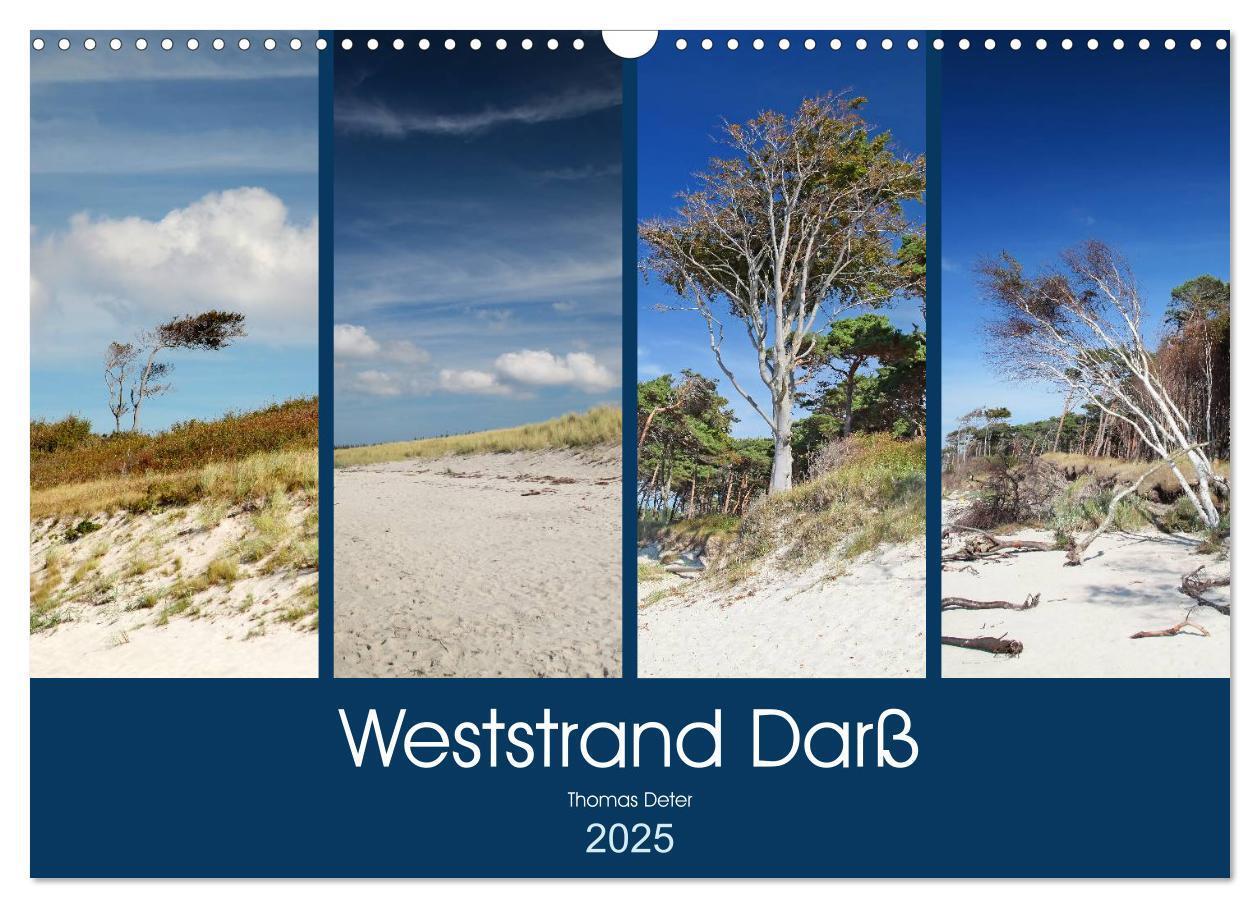 Cover: 9783435781973 | Weststrand Darß (Wandkalender 2025 DIN A3 quer), CALVENDO...