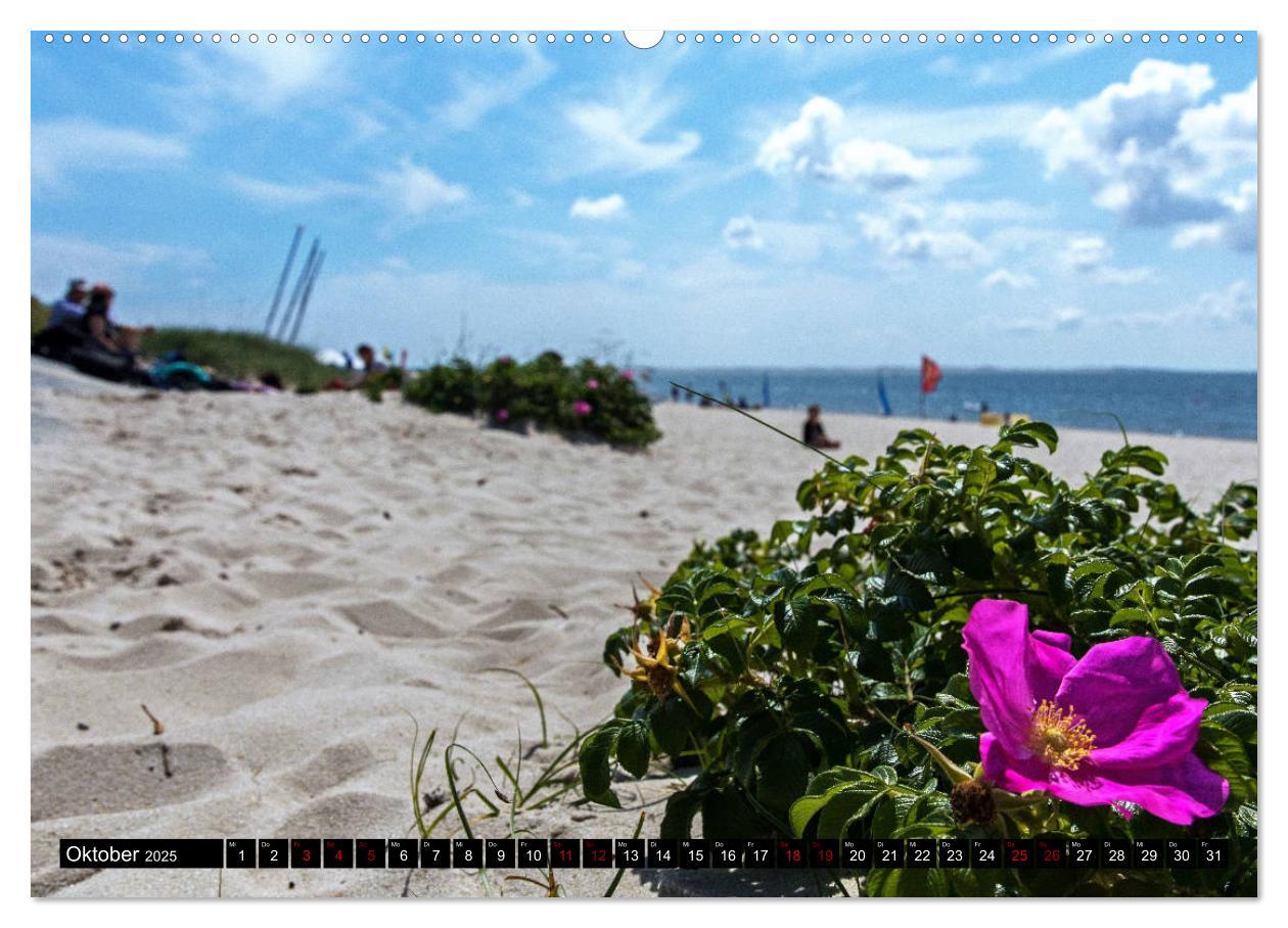 Bild: 9783435310180 | Magisches Sylt (Wandkalender 2025 DIN A2 quer), CALVENDO...