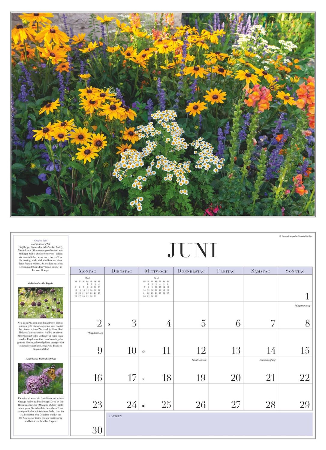 Bild: 4250809652856 | Garten-Kalender 2025 - Broschürenkalender - mit informativen Texten...