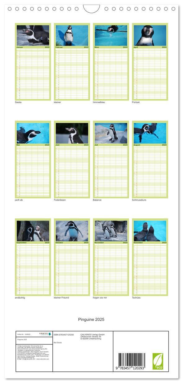 Bild: 9783457120293 | Familienplaner 2025 - Pinguine 2025 mit 5 Spalten (Wandkalender, 21...