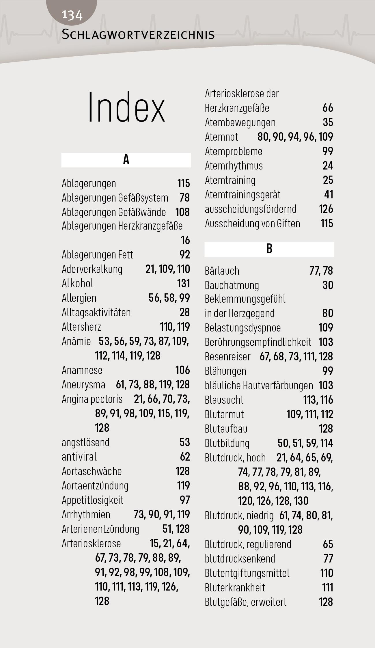 Bild: 9783945181317 | Blutdruck | Herz, Kreislauf und Gefäße | Andreas Nieswandt | Buch