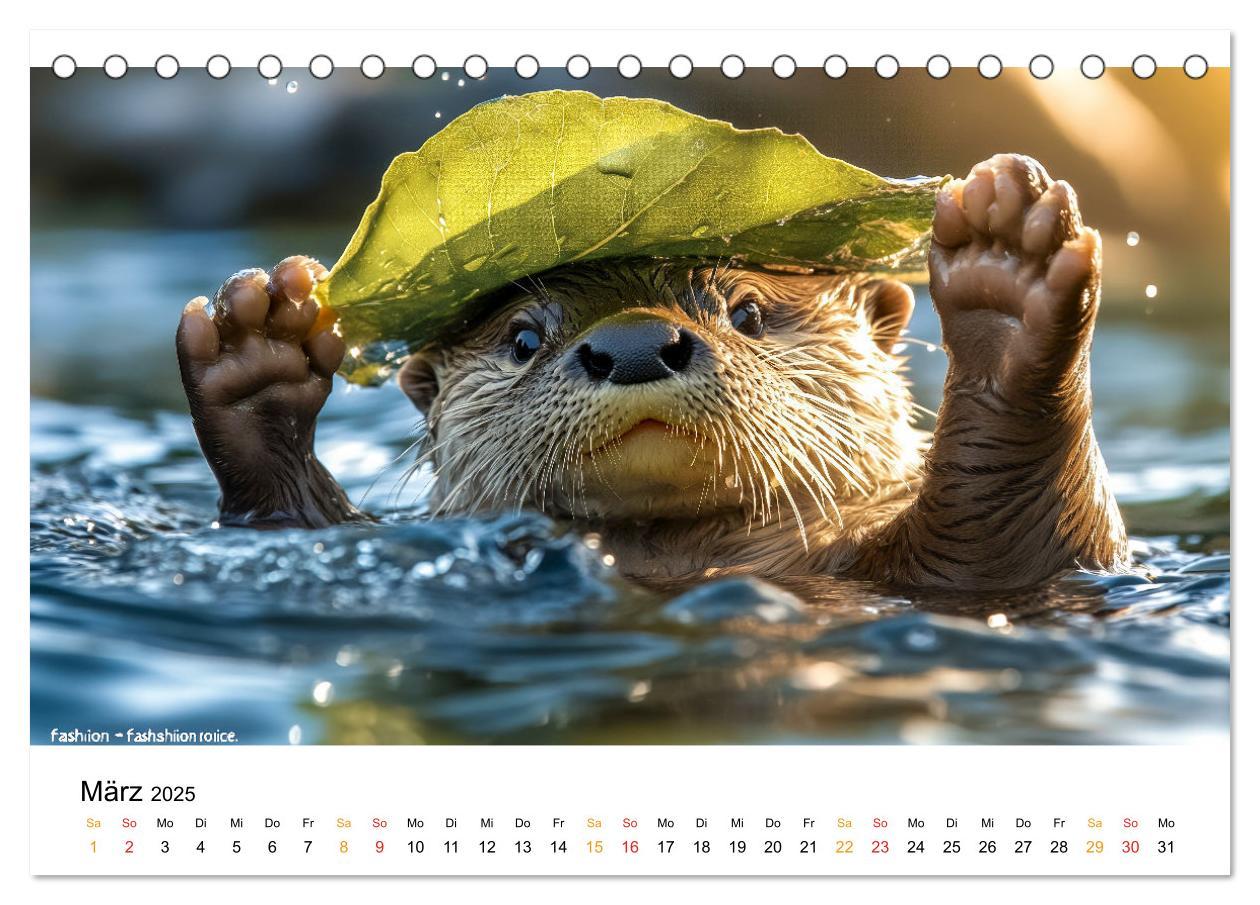 Bild: 9783457237120 | Wilde Heimat - Fischotter (Tischkalender 2025 DIN A5 quer),...