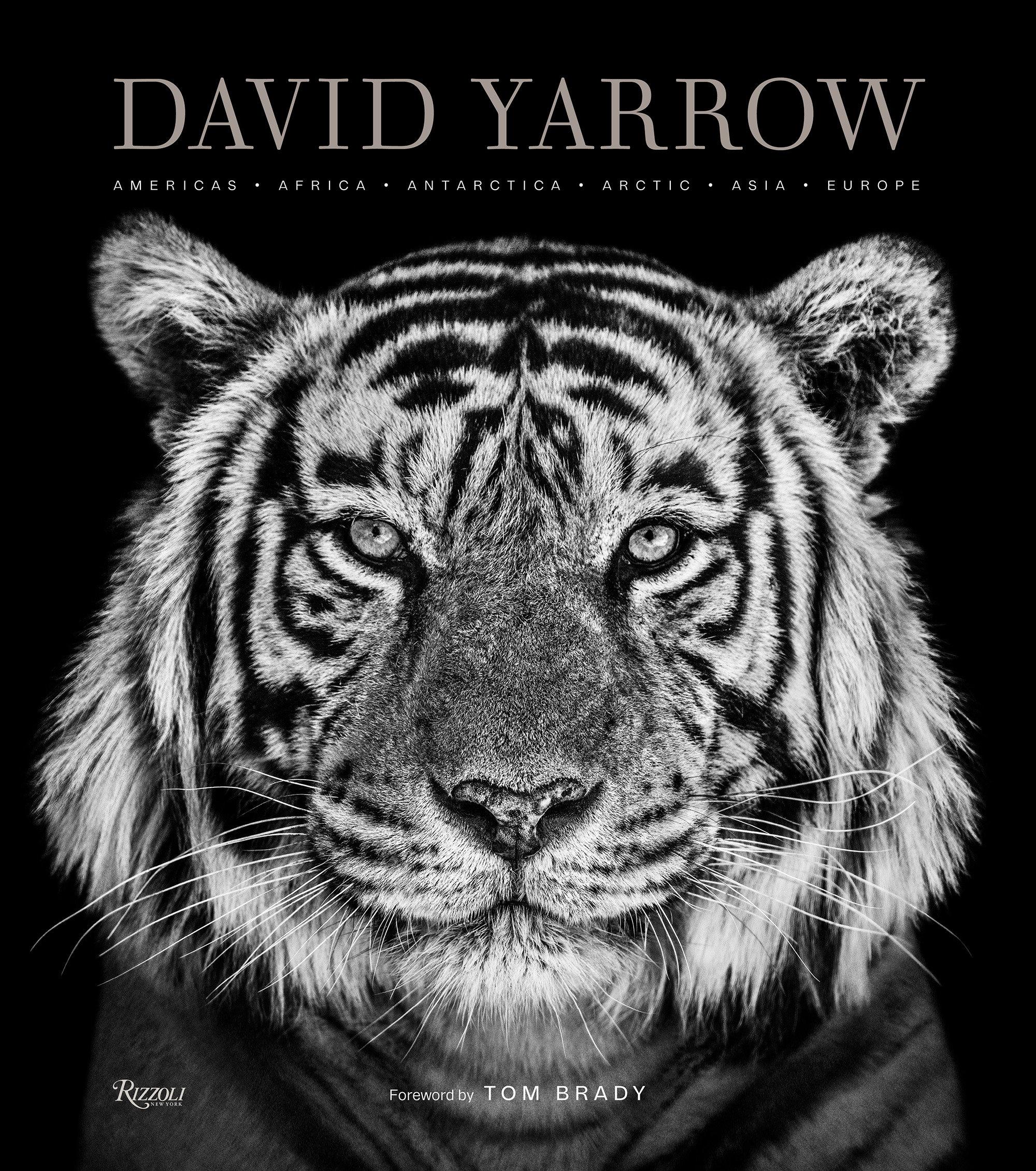 Cover: 9780847864775 | David Yarrow Photography | David Yarrow (u. a.) | Buch | Englisch