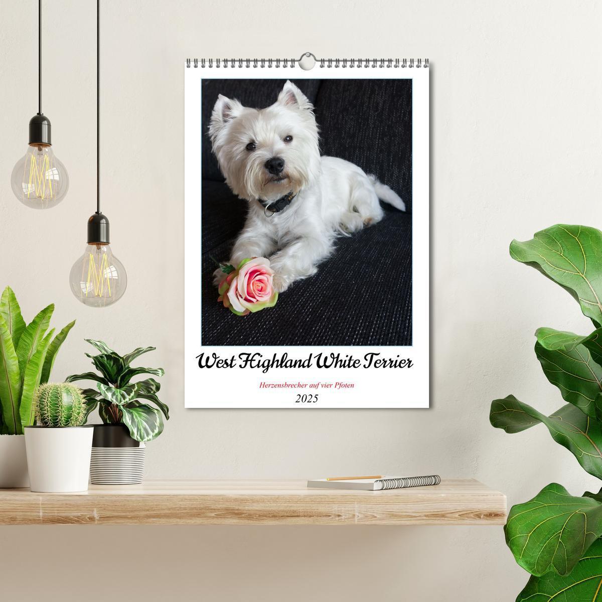 Bild: 9783435887842 | West Highland White Terrier - Herzensbrecher auf vier Pfoten...