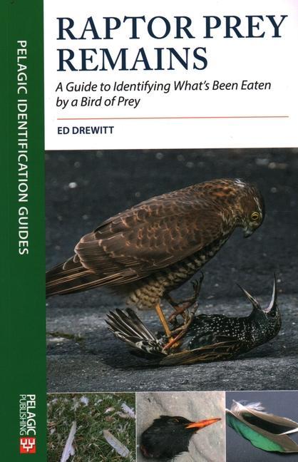 Cover: 9781784272074 | Raptor Prey Remains | Ed Drewitt | Taschenbuch | Englisch | 2020