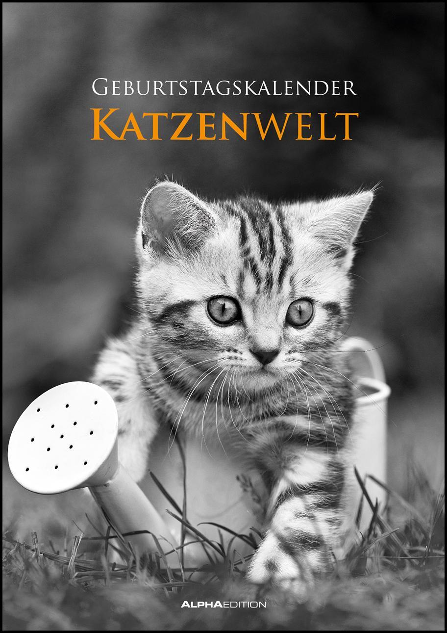 Cover: 9783840737169 | Geburtstagskalender Katzenwelt immerwährend | ALPHA EDITION | Kalender