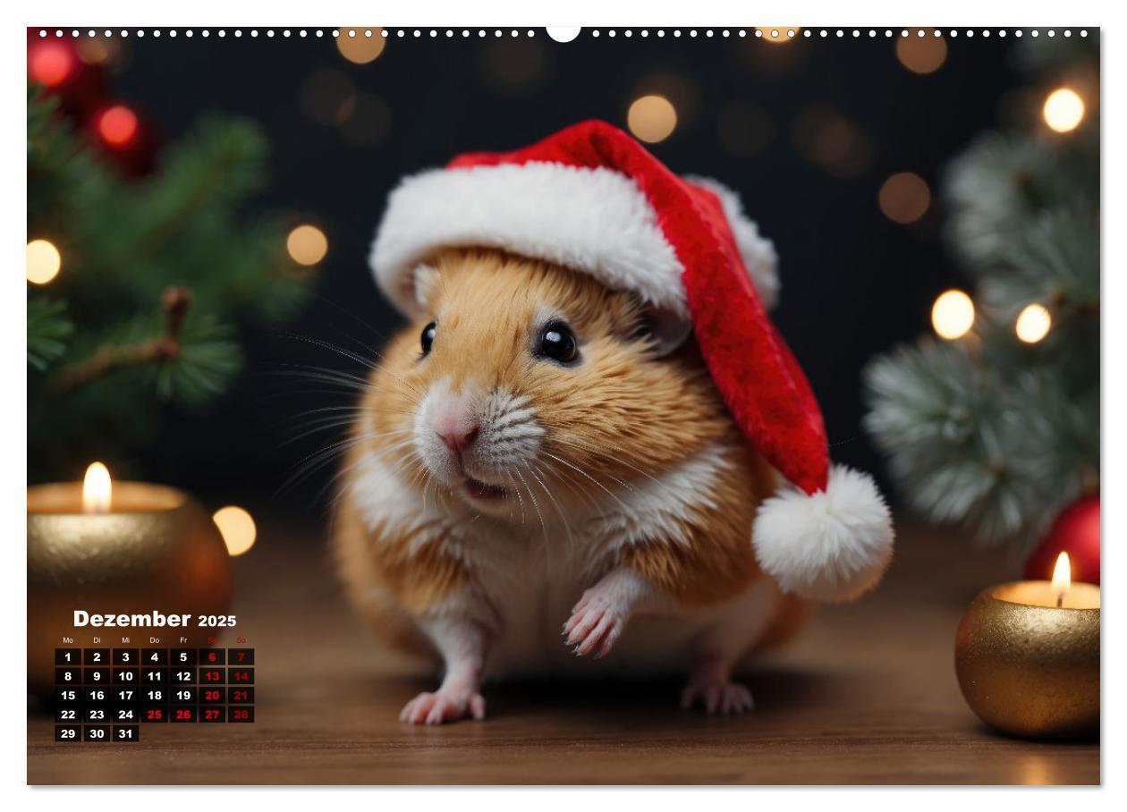 Bild: 9783383839689 | Hamstertage (Wandkalender 2025 DIN A2 quer), CALVENDO Monatskalender