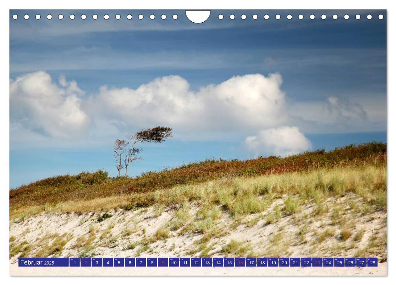 Bild: 9783435782390 | Weststrand Darß (Wandkalender 2025 DIN A4 quer), CALVENDO...