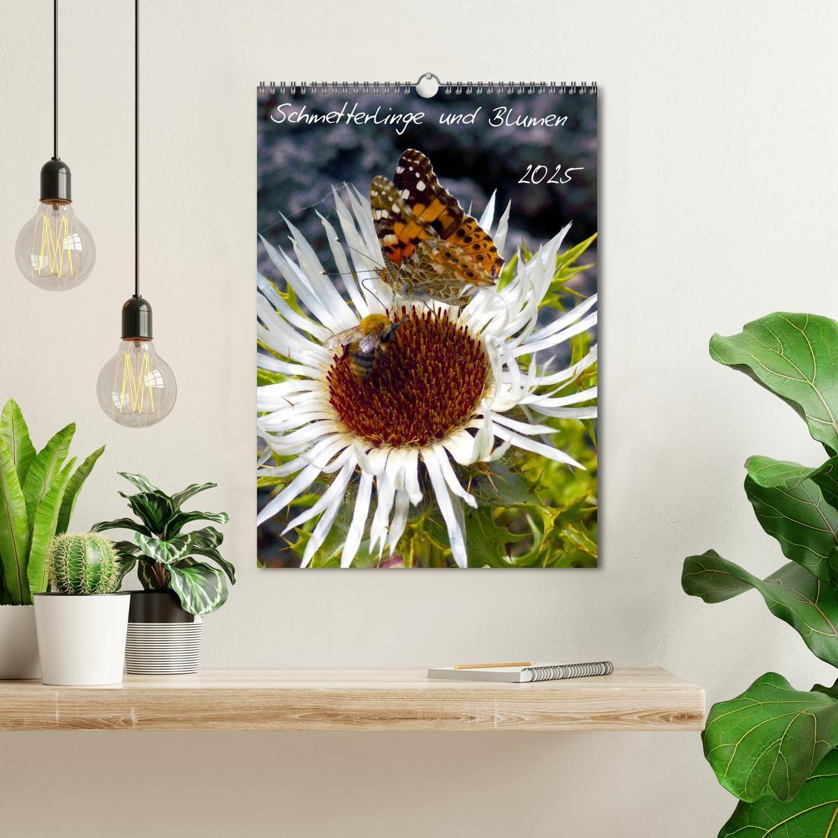 Bild: 9783457082010 | Schmetterlilnge und Blumen (Wandkalender 2025 DIN A3 hoch),...