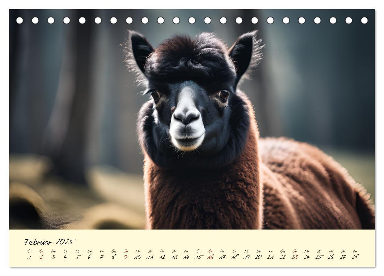 Bild: 9783457189641 | Alpakas, die sanften Andenbewohner (Tischkalender 2025 DIN A5...