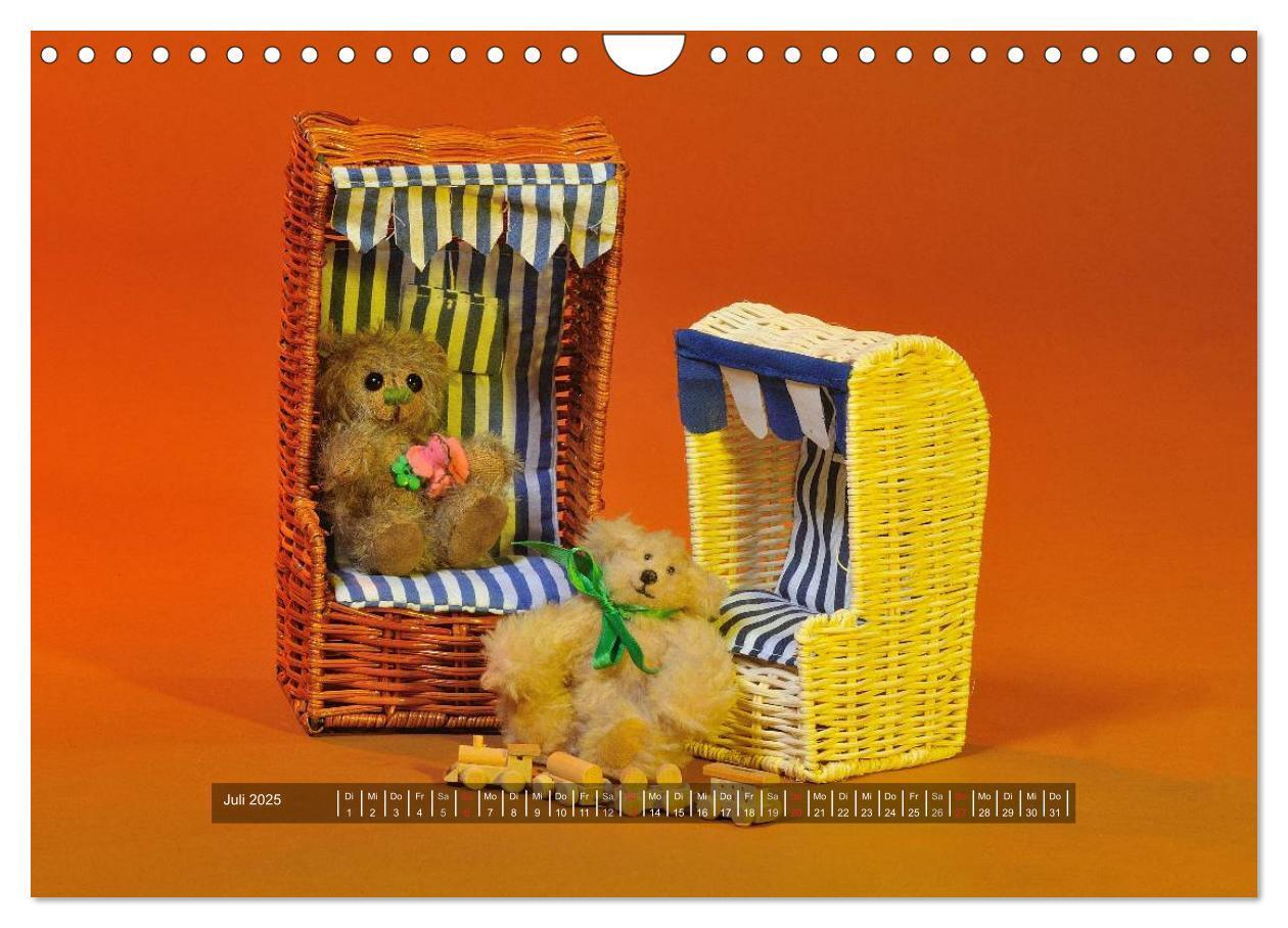 Bild: 9783435627592 | Die Teddys sind los (Wandkalender 2025 DIN A4 quer), CALVENDO...