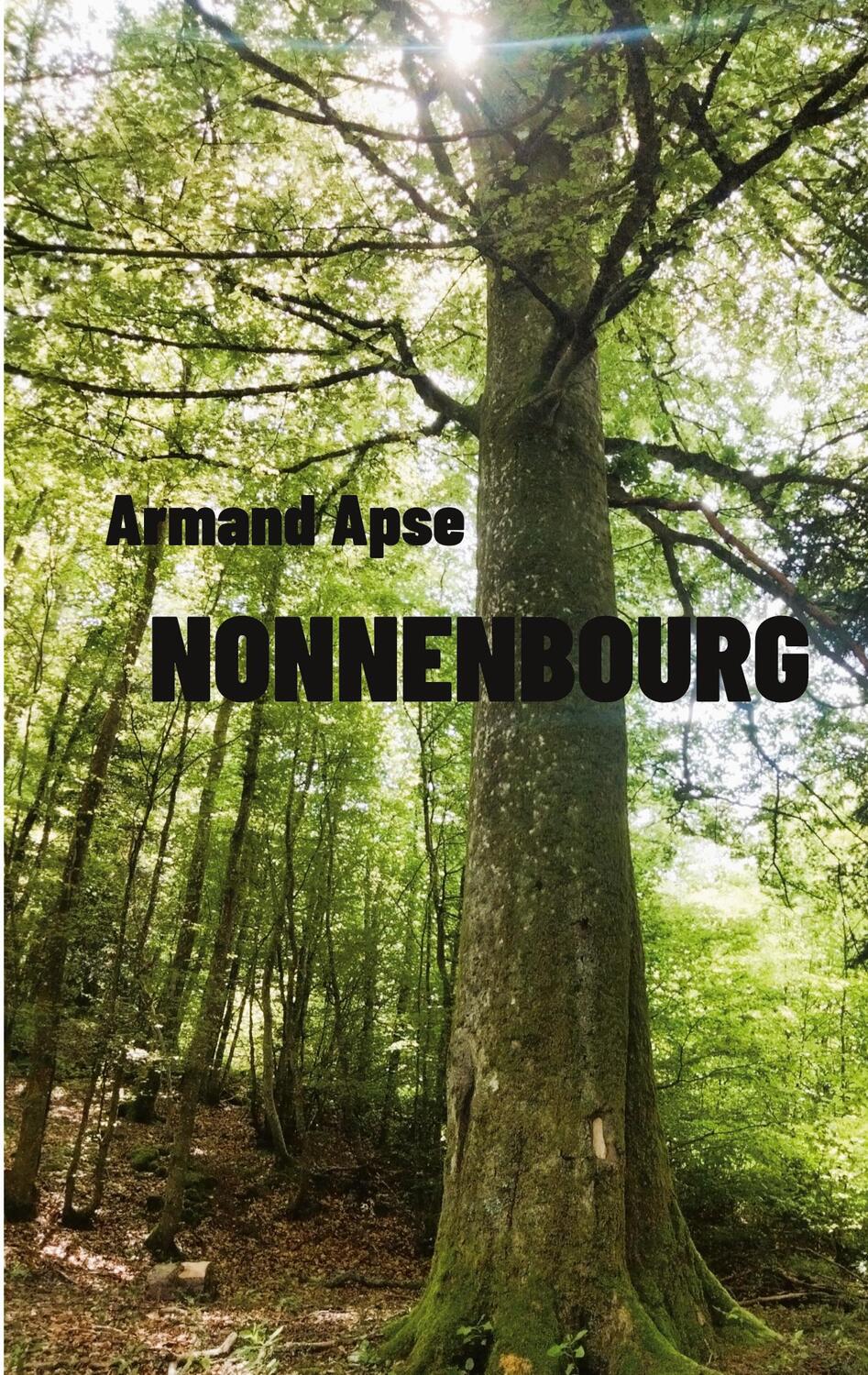 Cover: 9782322541874 | Nonnenbourg | Armand Apse | Taschenbuch | Paperback | Französisch